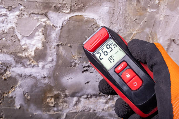 Best Post-Flood Mold Remediation in Jefferson City, TN