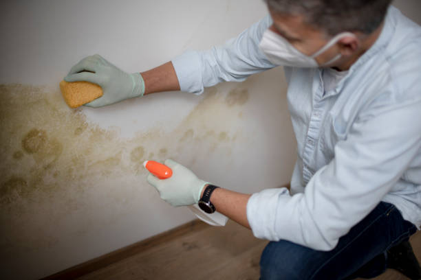 Jefferson City, TN Mold Remediation Company